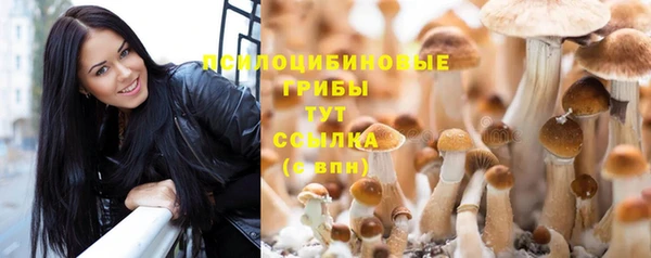 бошки Медвежьегорск
