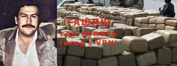индика Медногорск