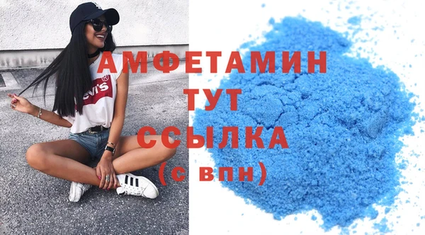 индика Медногорск