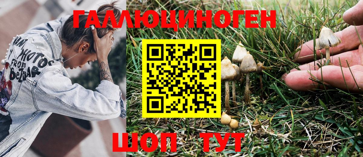Галлюциногенные грибы MAGIC MUSHROOMS Карабулак