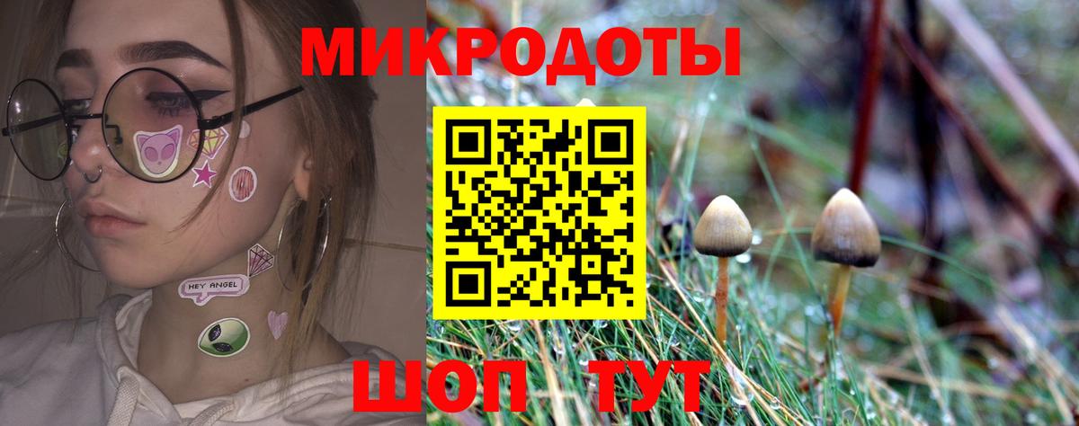 Карабулак  Галлюциногенные грибы мицелий  Вход с VPN 